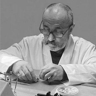 Pierre Alanic-Lewi